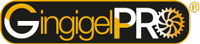 gingigel logo